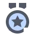 Pin's